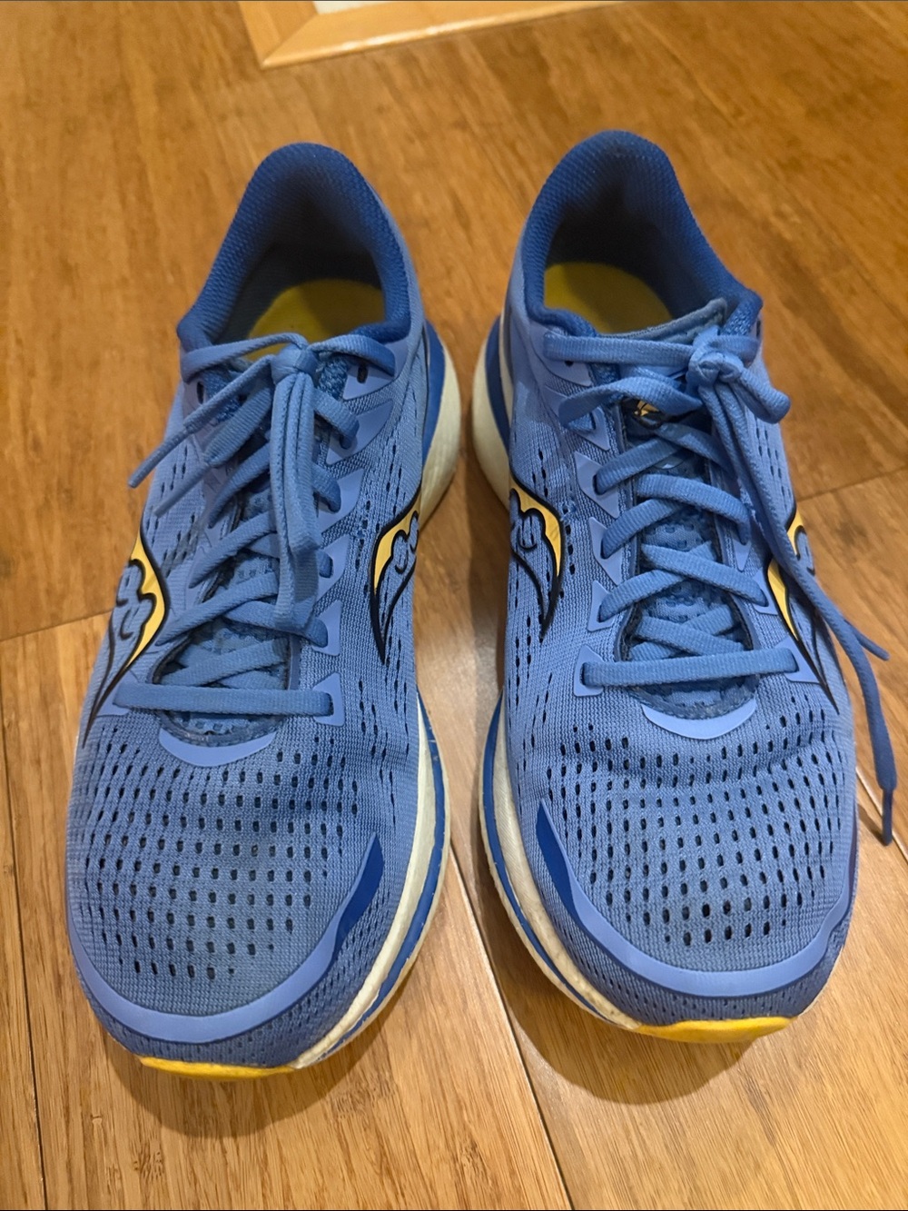 Saucony Endorphin Speed 9.5 Women's Athletic Running Shoes